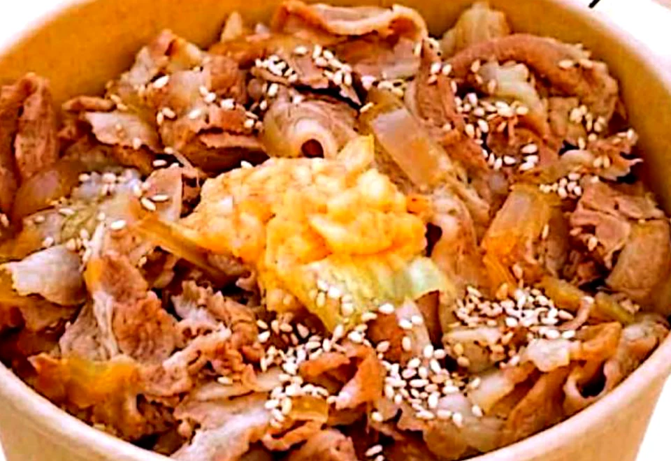 Bol de porc donburi au riz japonais
